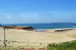 0753 - De Matosinhos a Porto